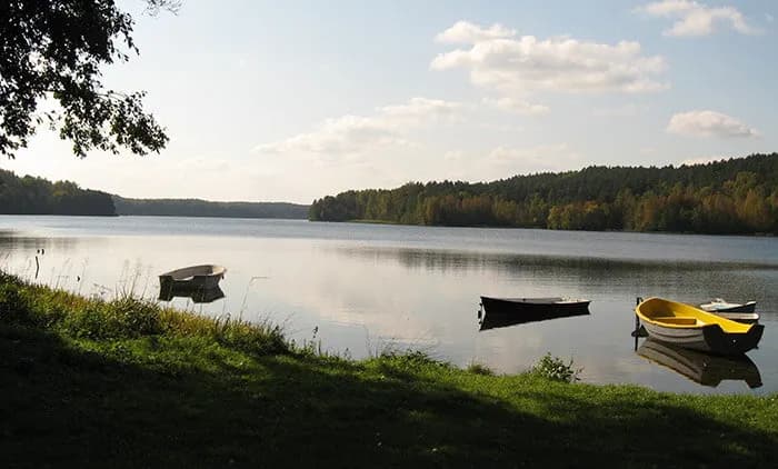 Jezioro Dąbrowskie: piękne miejsce na relaks i wędkowanie w Kaszubach