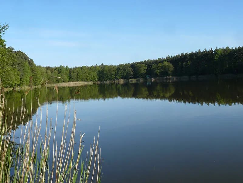 Jezioro Tuczno Kujawsko-Pomorskie - tajemnice, które musisz poznać