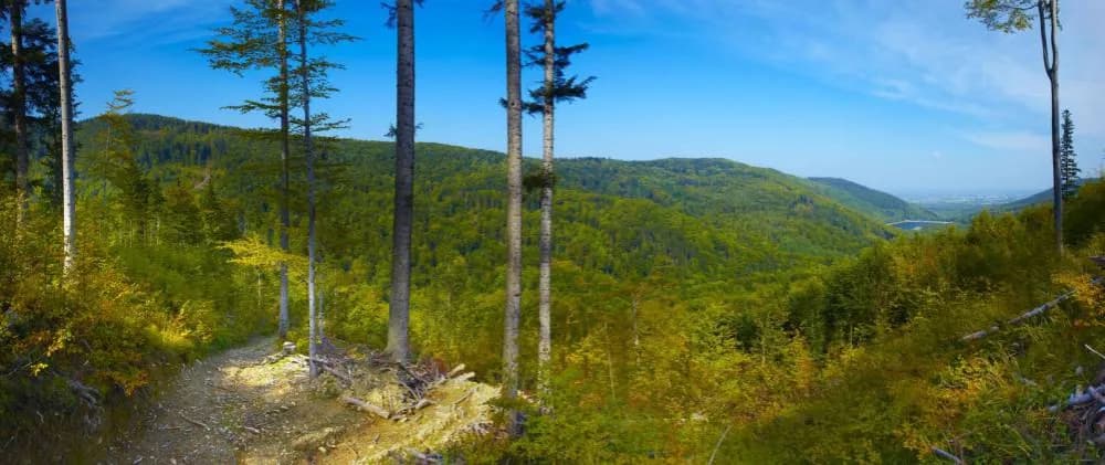 Wapienica atrakcje – odkryj najpiękniejsze miejsca w Beskidach